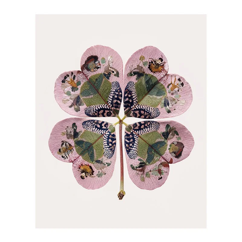 Fine Art Print - Lucky Clover 012