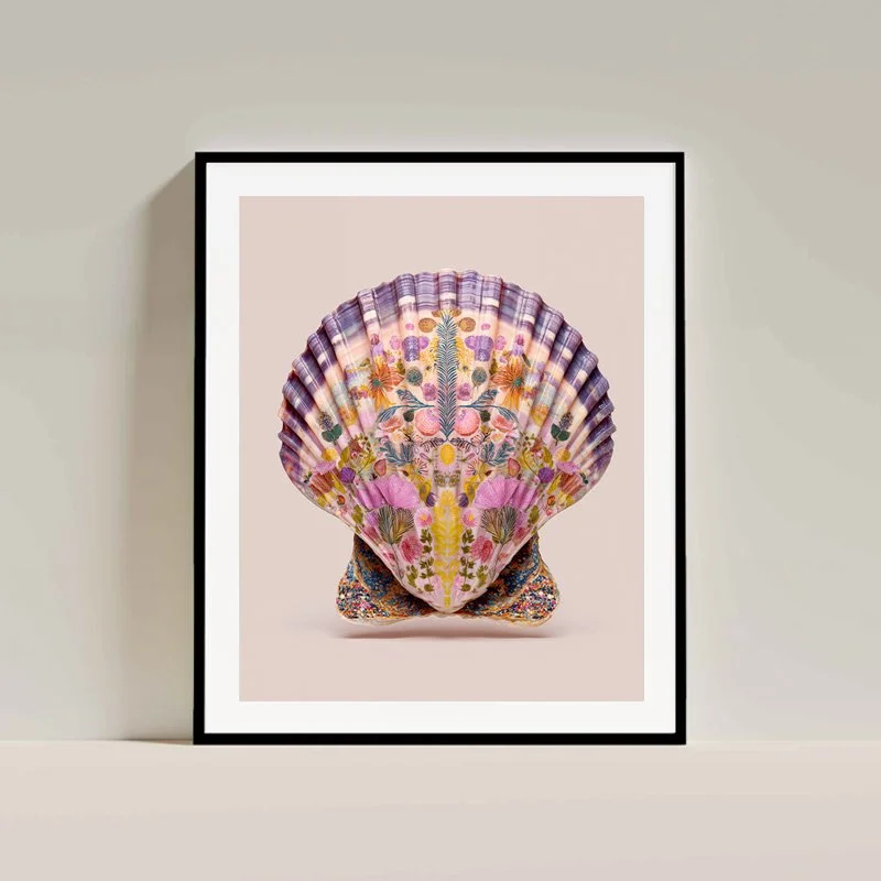 Charlie Moon Art - Shell Fine Art Print, artwork, hahnemuhle, interior art - framed- 1.jpg