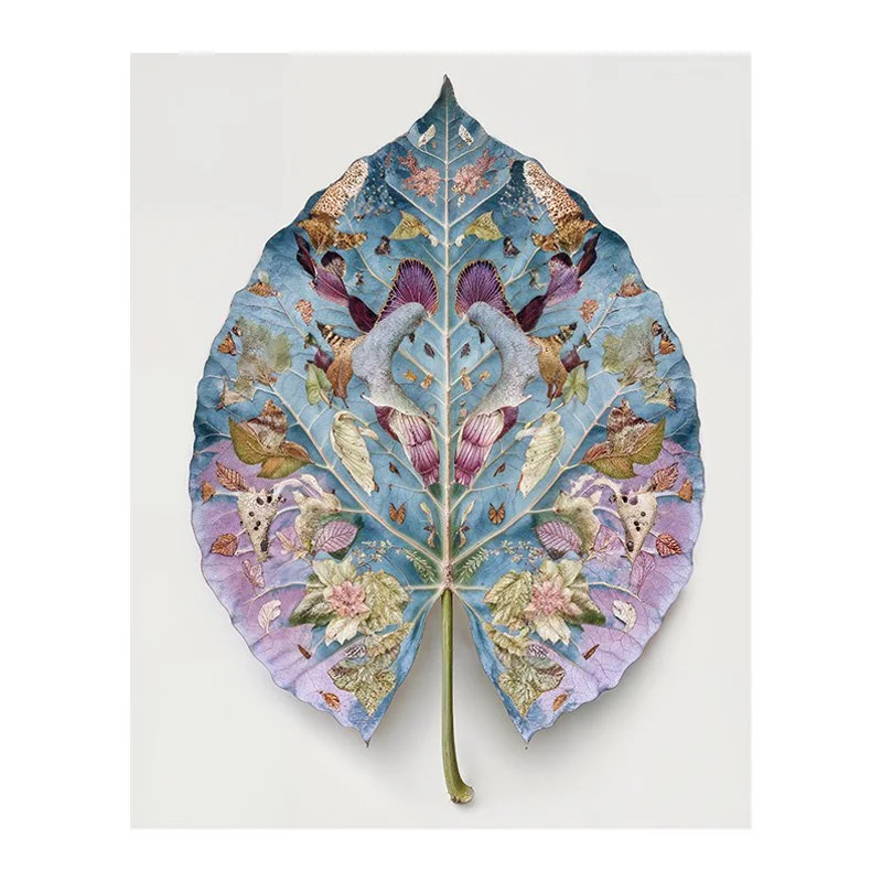 Fine Art Print - Spring Leaves 05