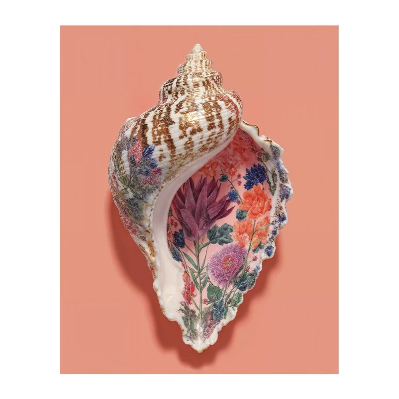 Charlie Moon Art - Conch Shell Fine Art Print, artwork, hahnemuhle, interior art - 1.jpg