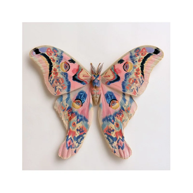Noctiluca - night butterfly fine art print — Charlie Moon Print - 4.jpg