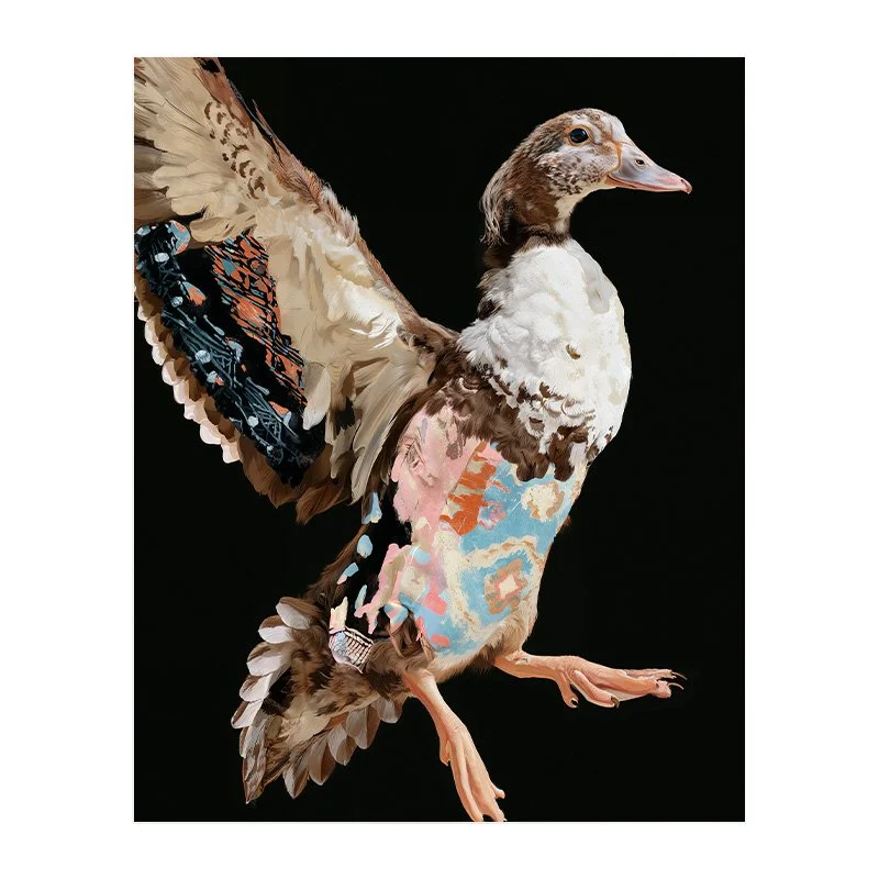 Fine Art Print - Into The Wild 'Duck'