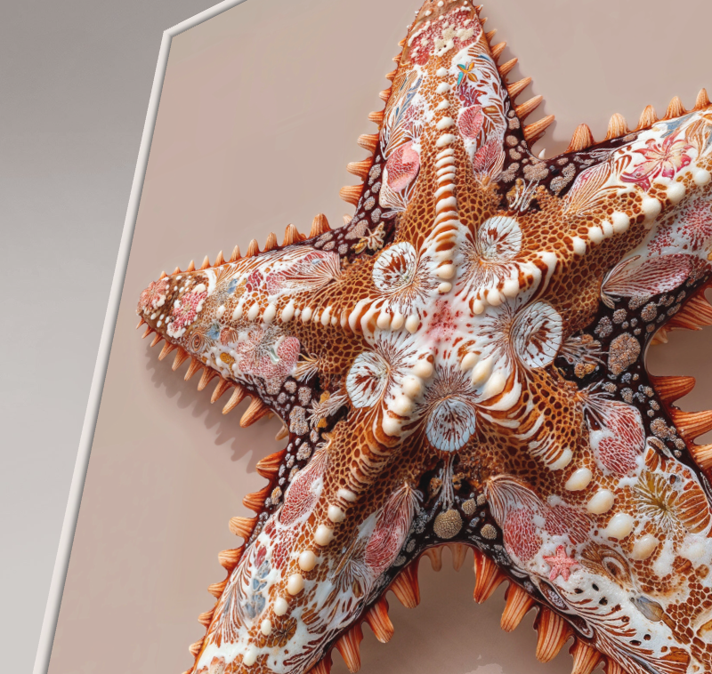 Charlie Moon Art - original Starfish saffron (1).png