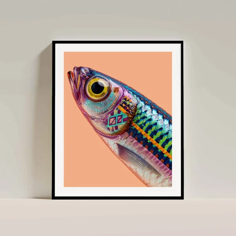 Charlie Moon - Sassy Sardines - art photo fine art print - 5 - framed.jpg