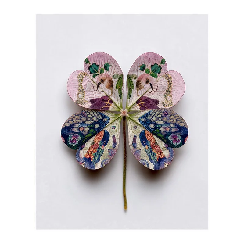 Fine Art Print - Lucky Clover 003