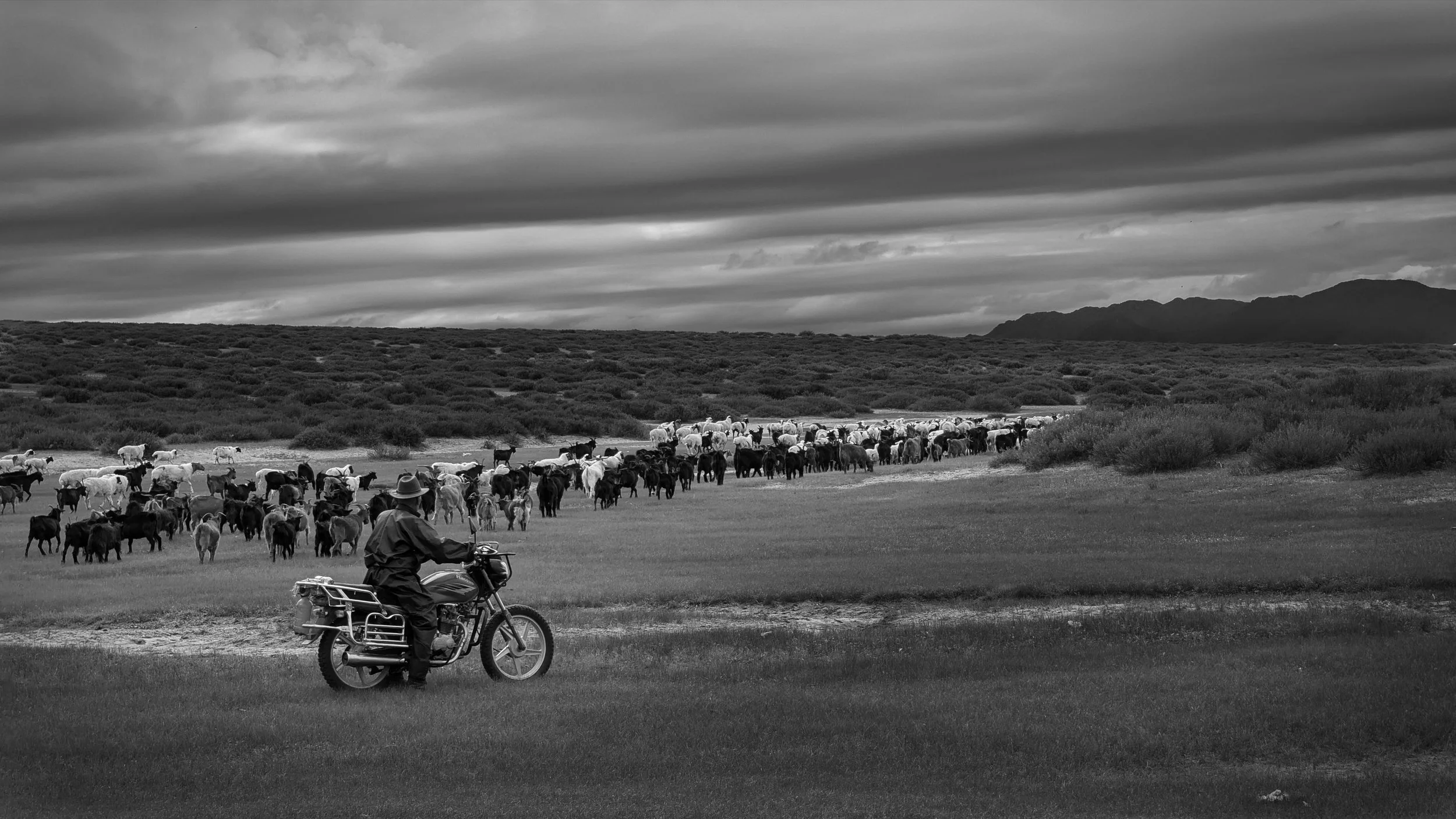 2024.08.15 Mongolia 0083.jpg