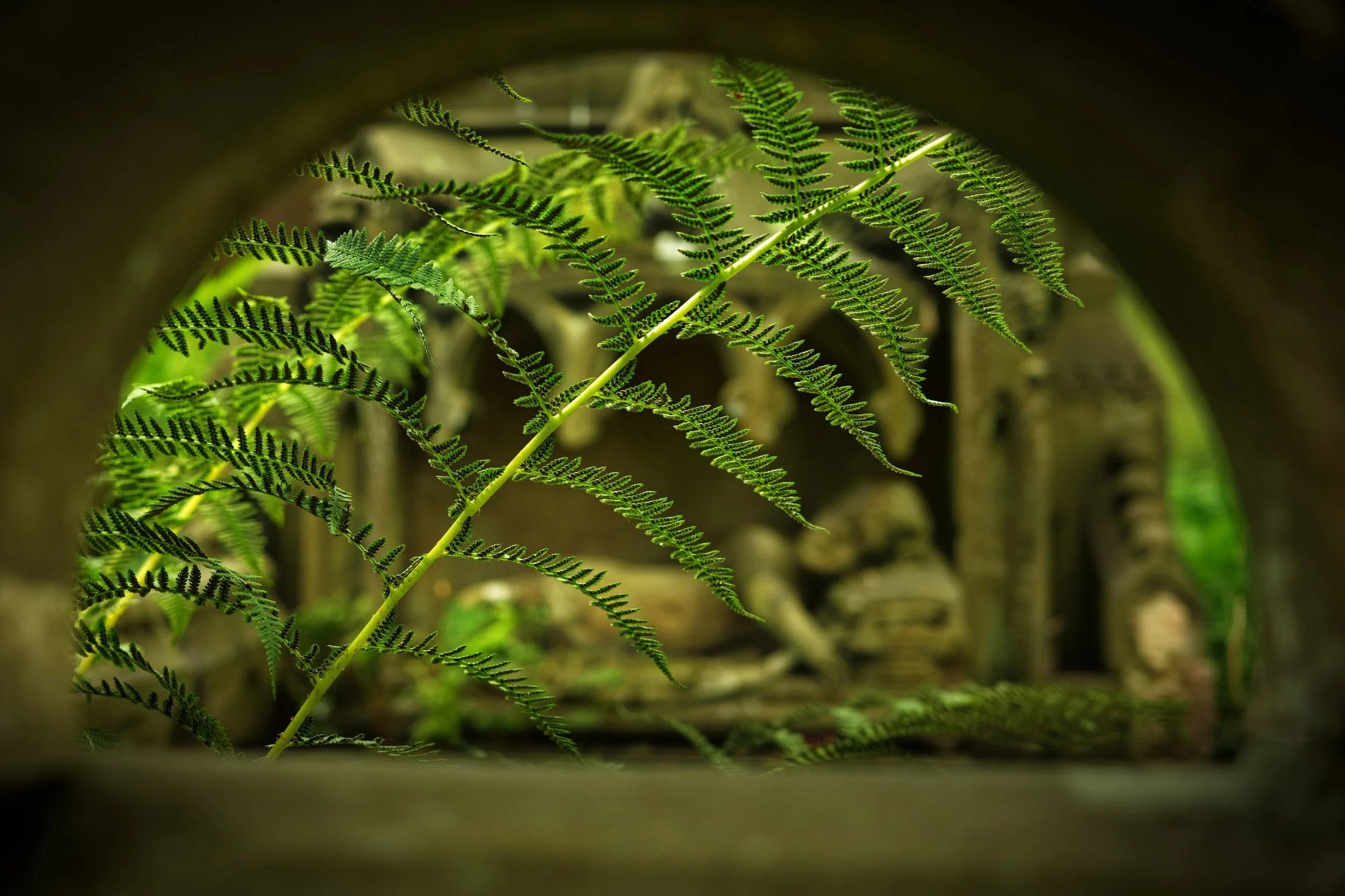 2025.08 York 166.jpg