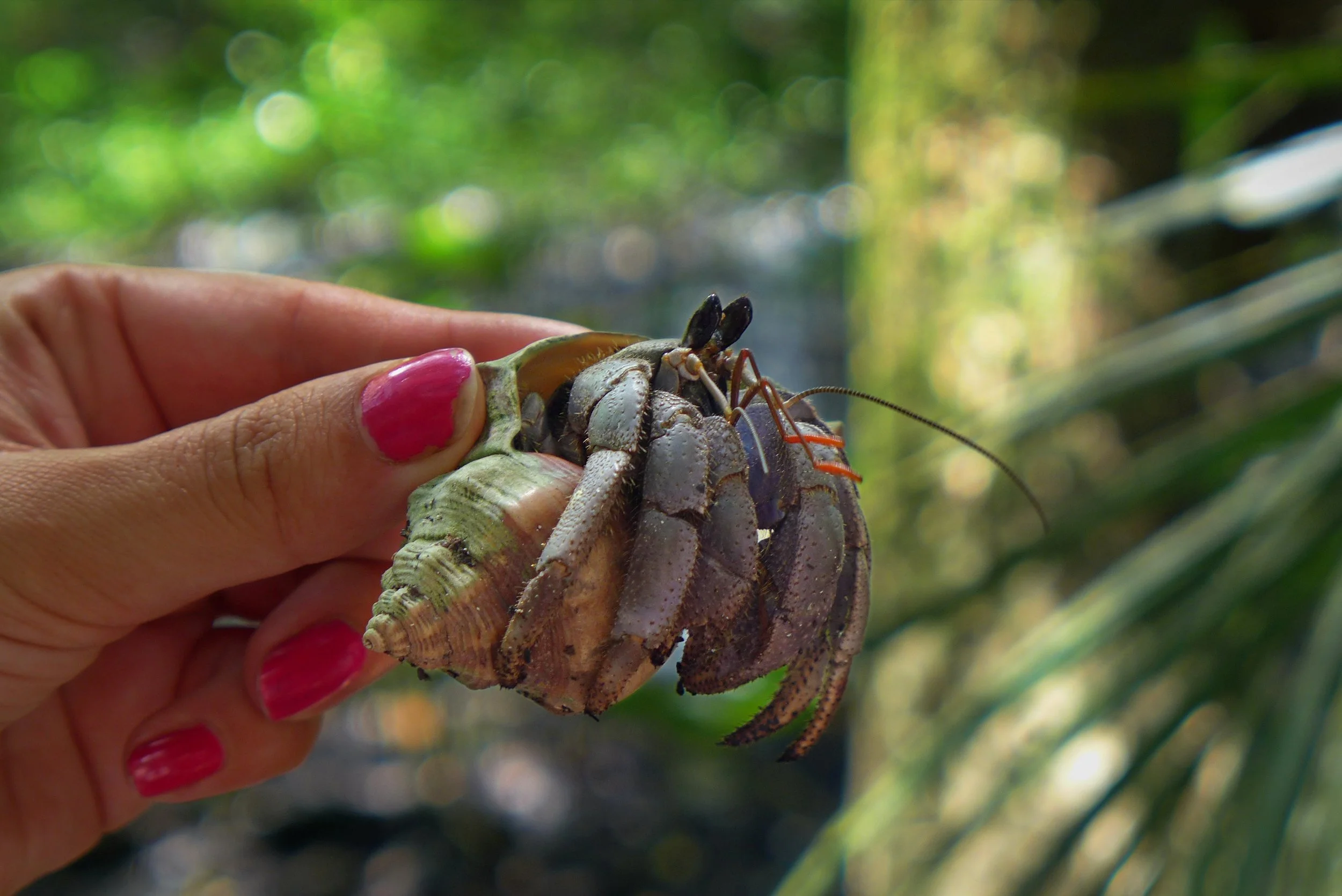 2014.02.09 Kuching (334).JPG