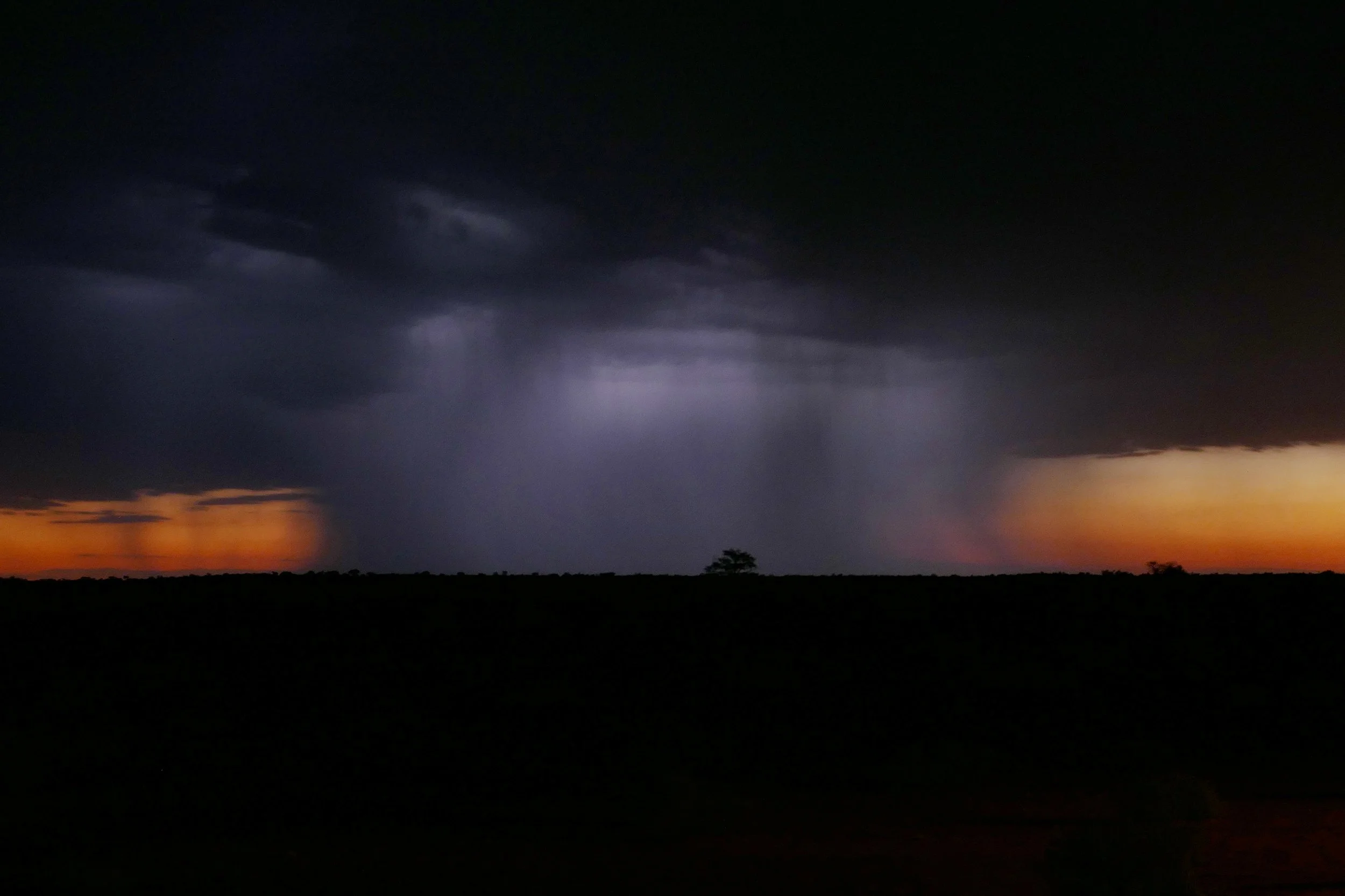 07.05 Bagatelle Game Ranch (330).JPG