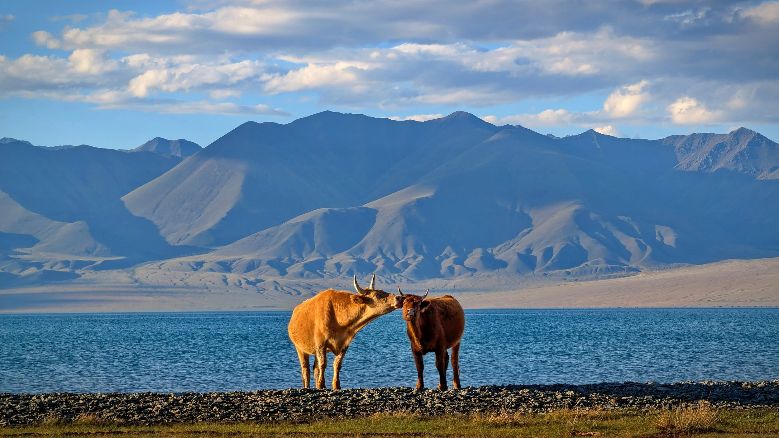 2024.08.21 Mongolia 0164.jpg