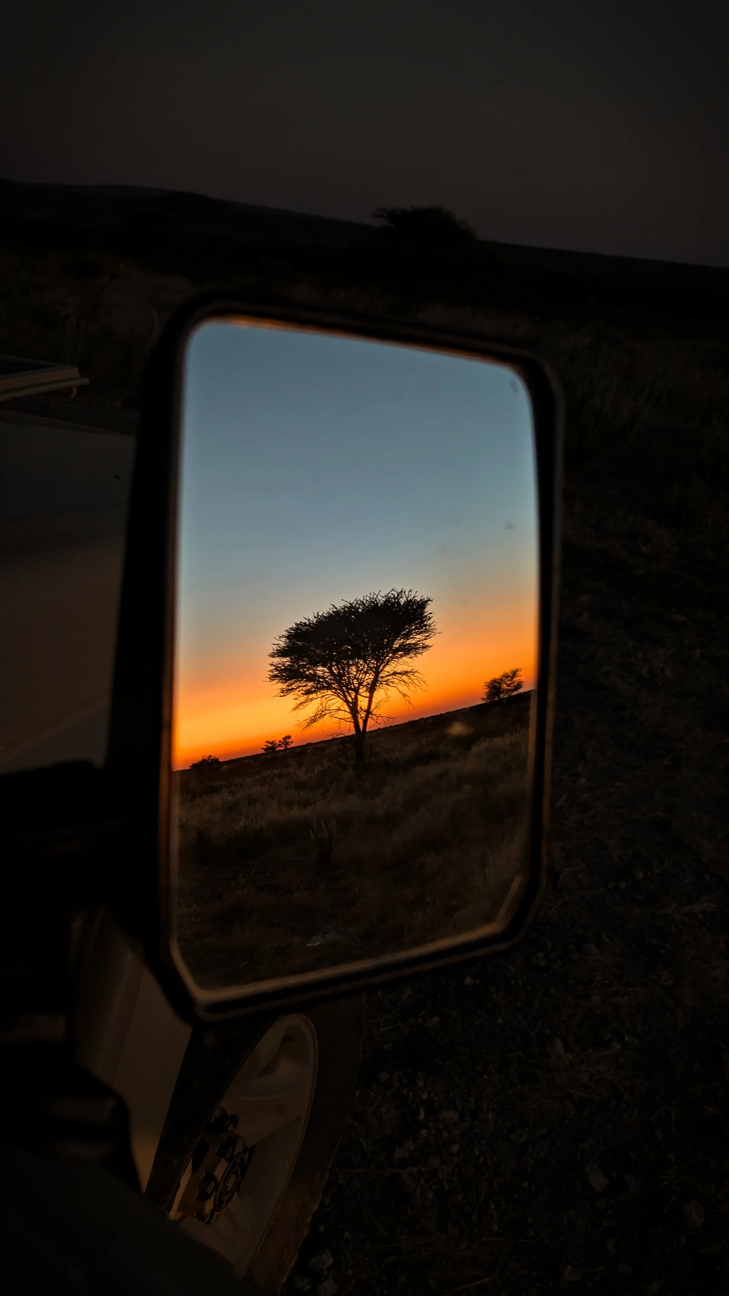 2025.06.02 Afrika 0603.jpg