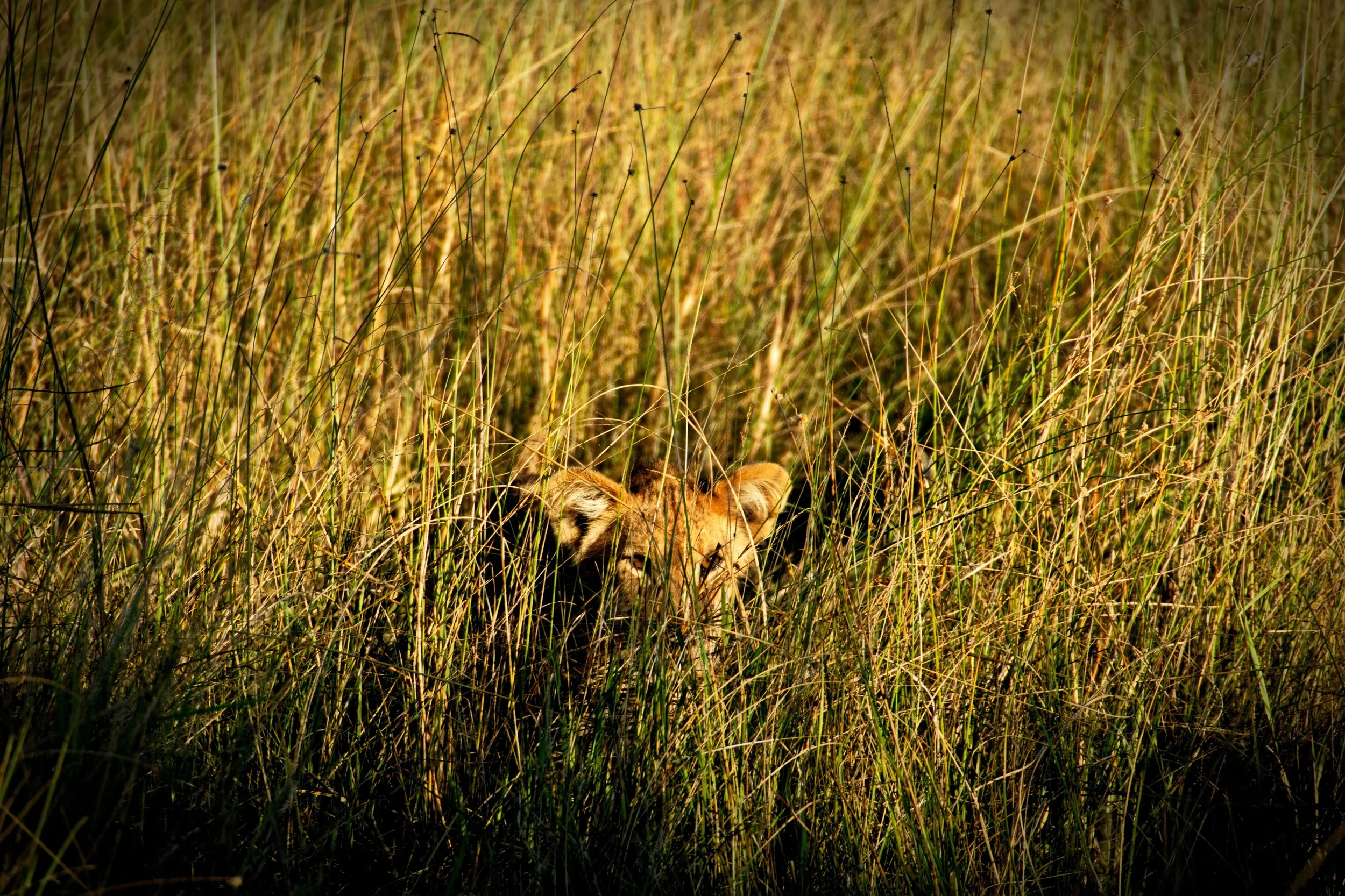 2025.05.20 Afrika 0083.jpg