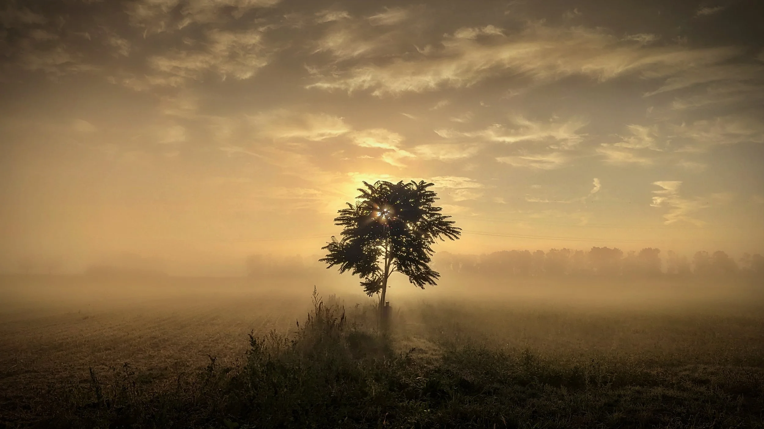 20230927_morning Walk(1).jpg