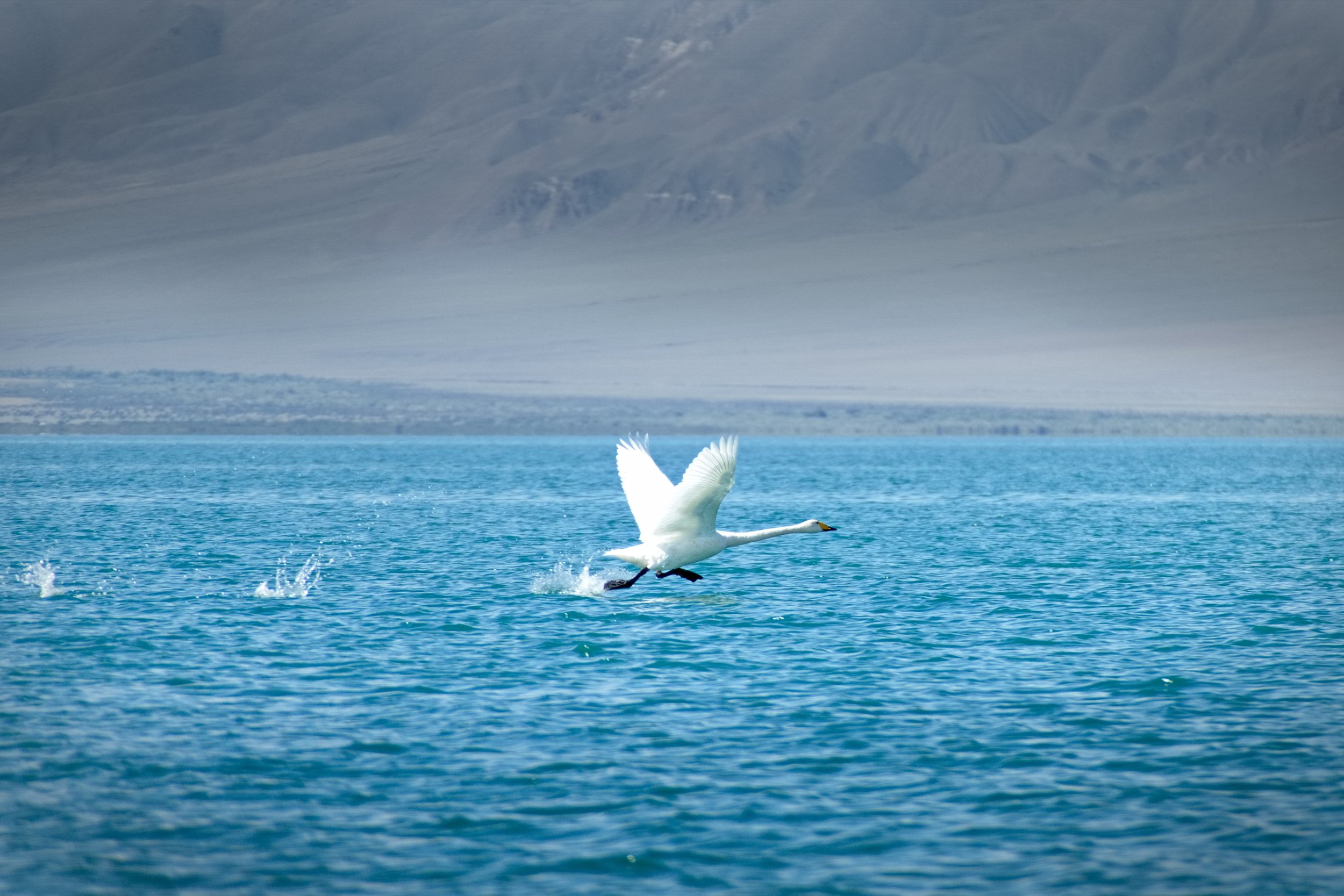 2024.08.21 Mongolia 0118.jpg