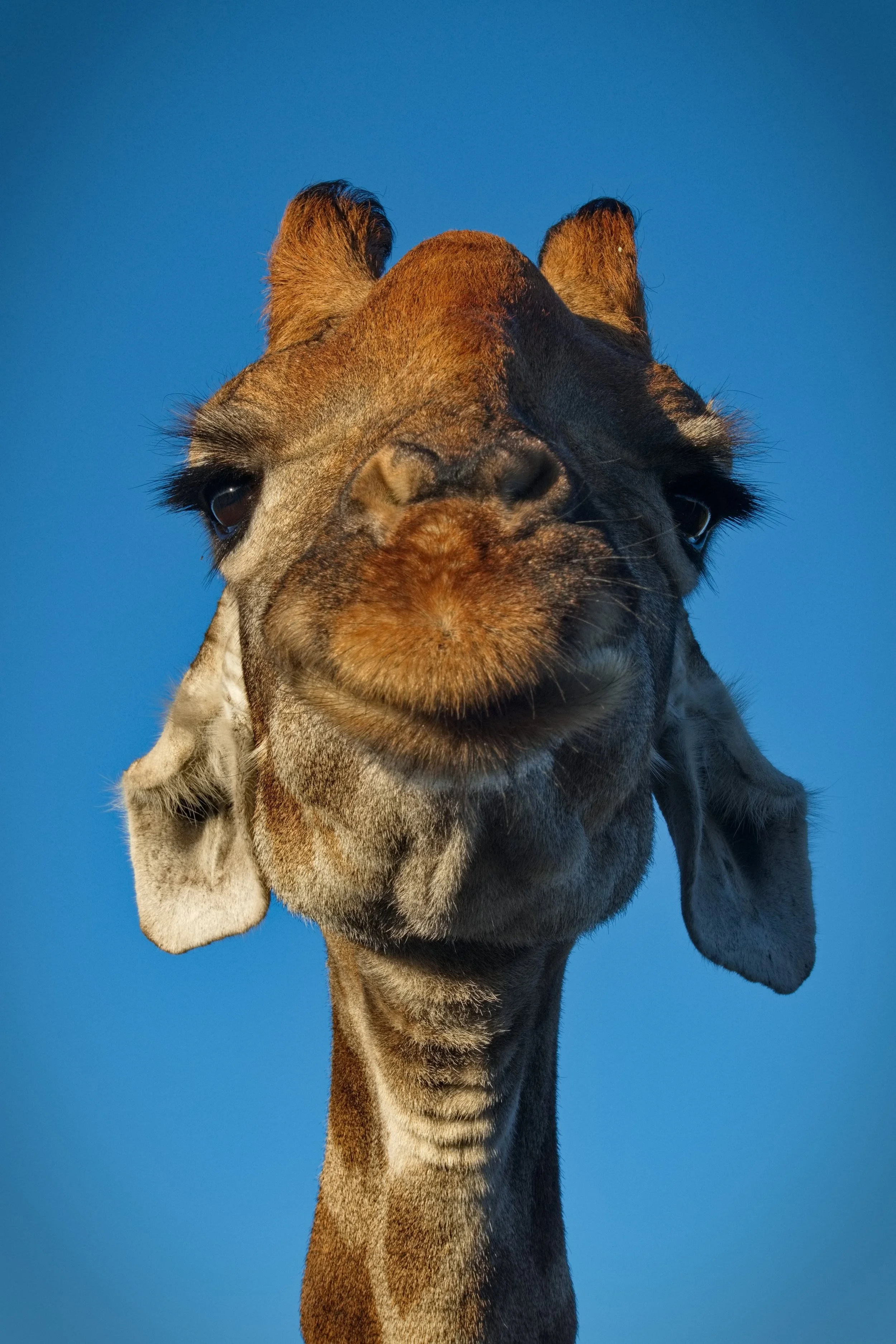 2025.05.31 Afrika 0040.jpg