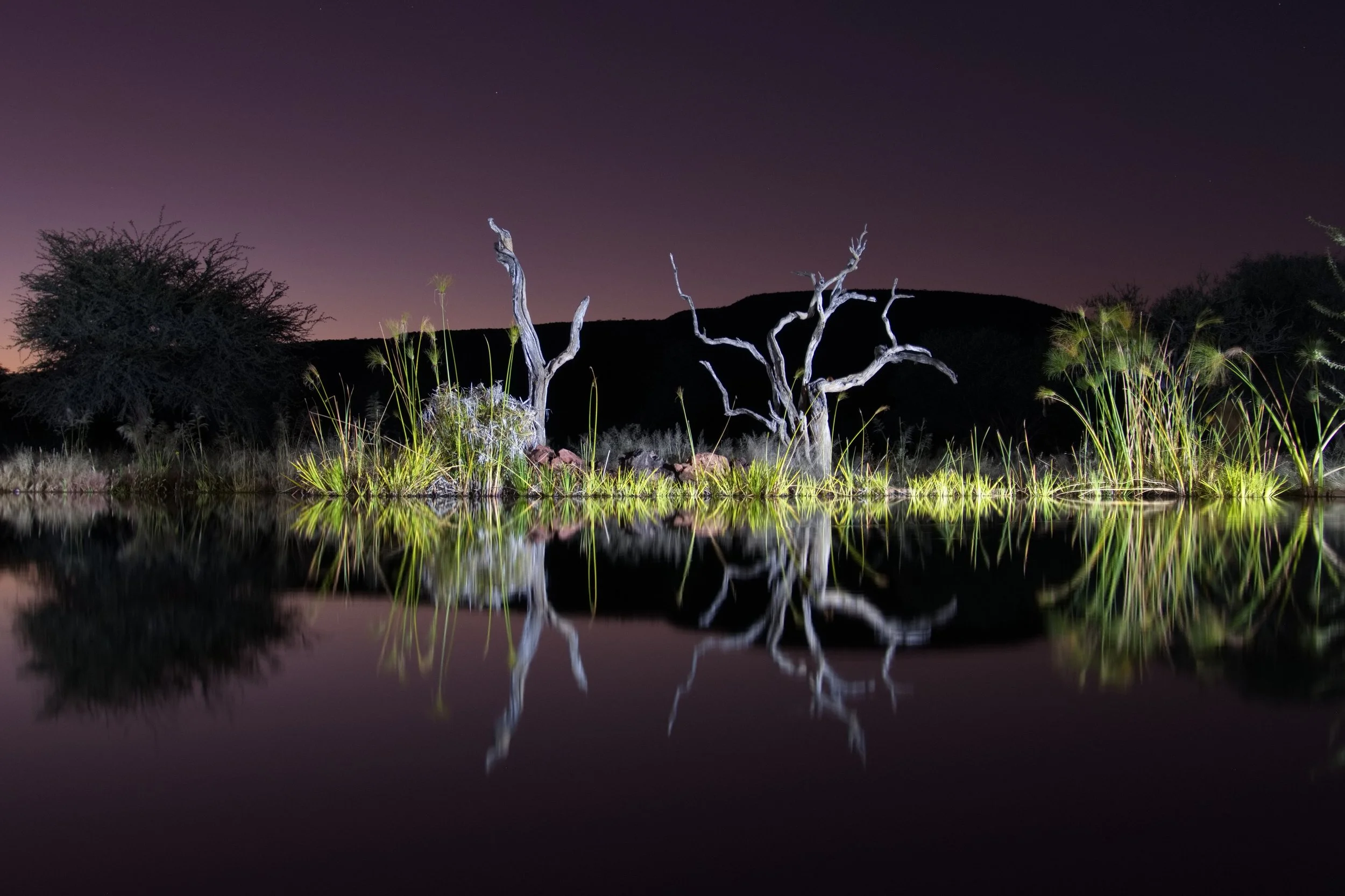 2025.06.01 Afrika 0003.jpg