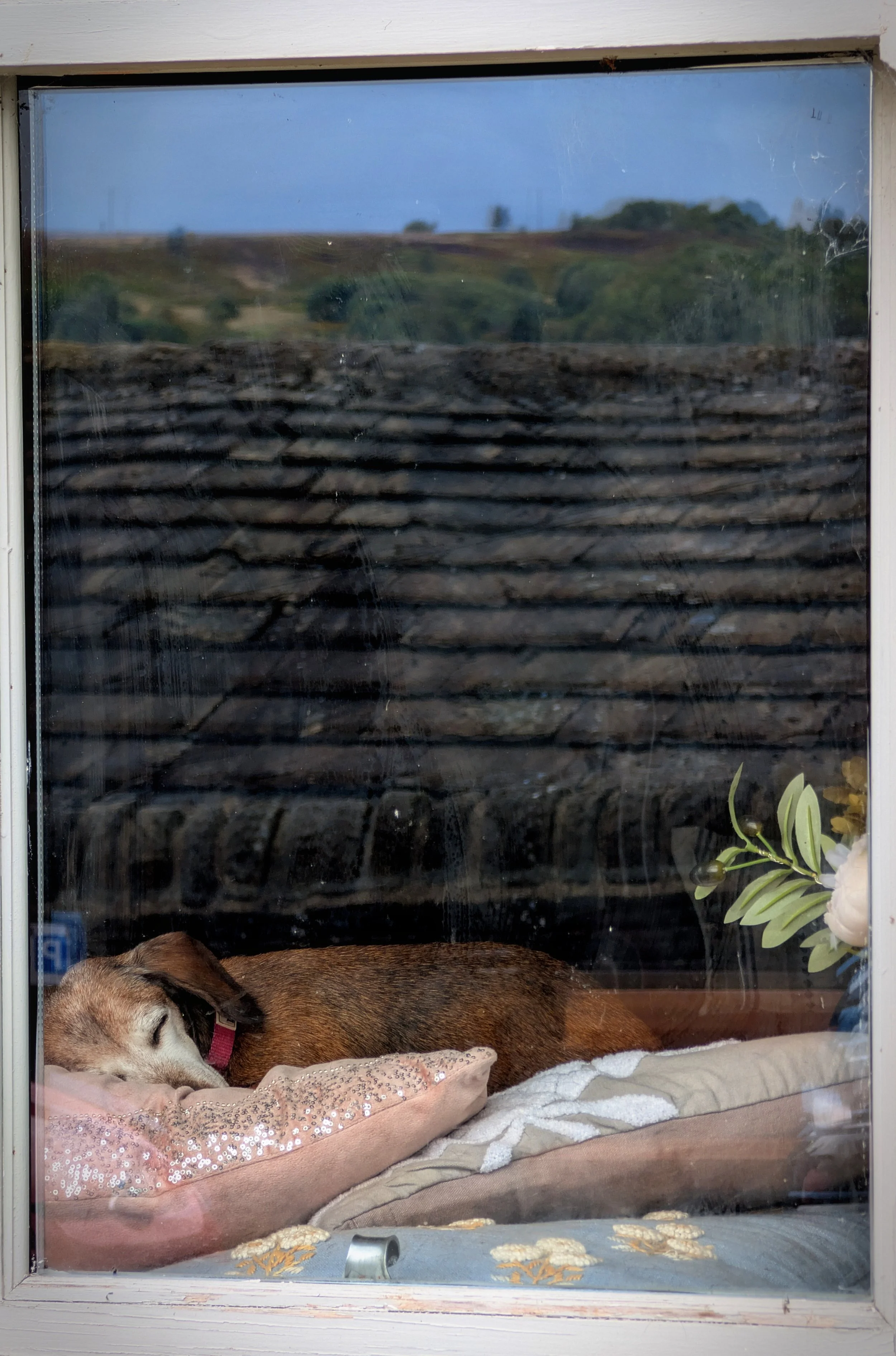 2025.08 York 181.jpg