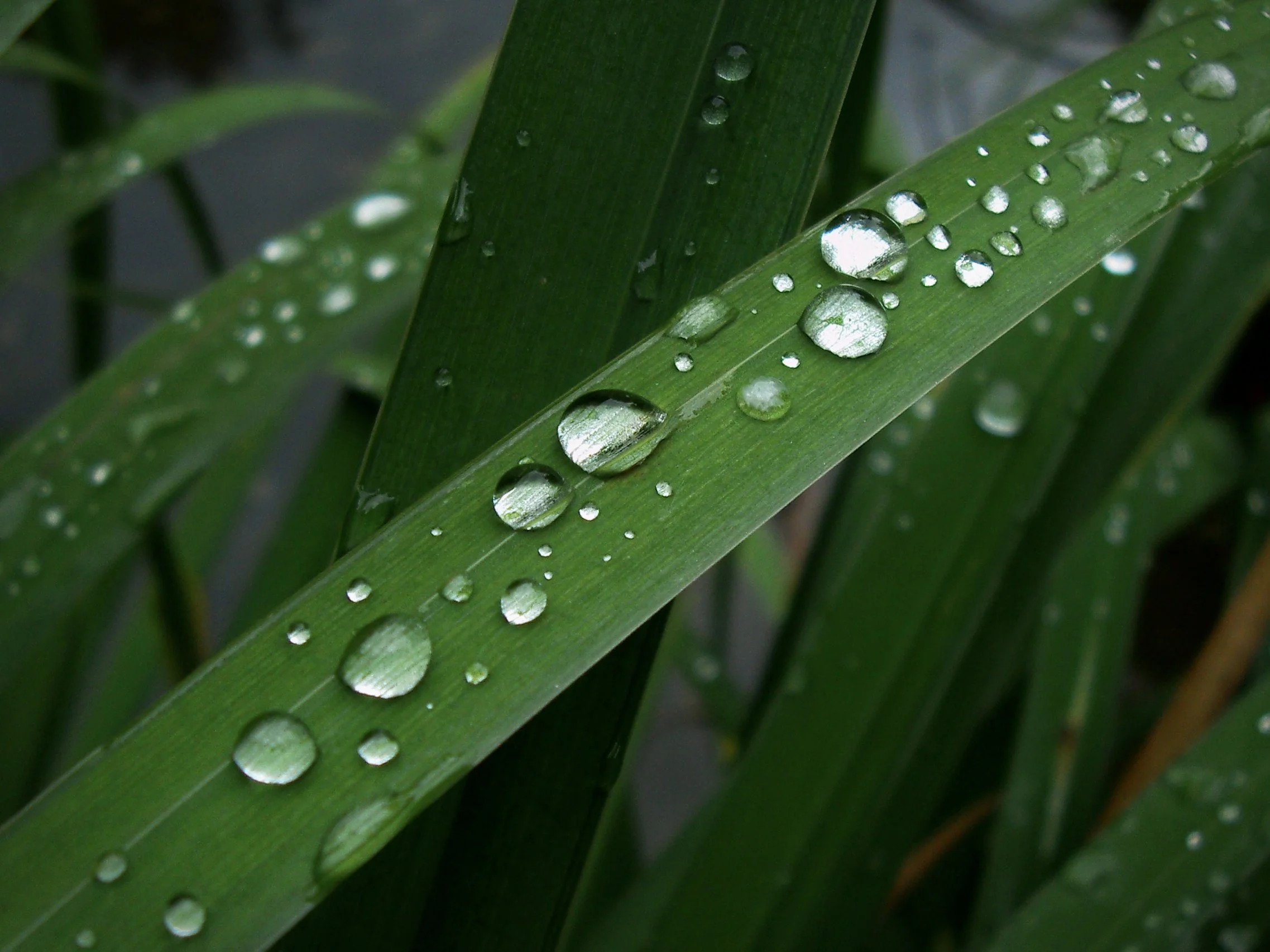 2010.09 Tirol (547).JPG