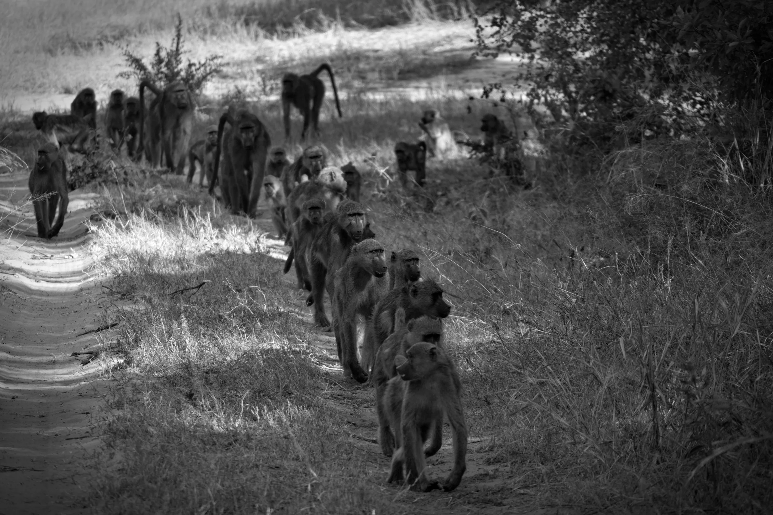 2025.05.29 Afrika 0073.jpg