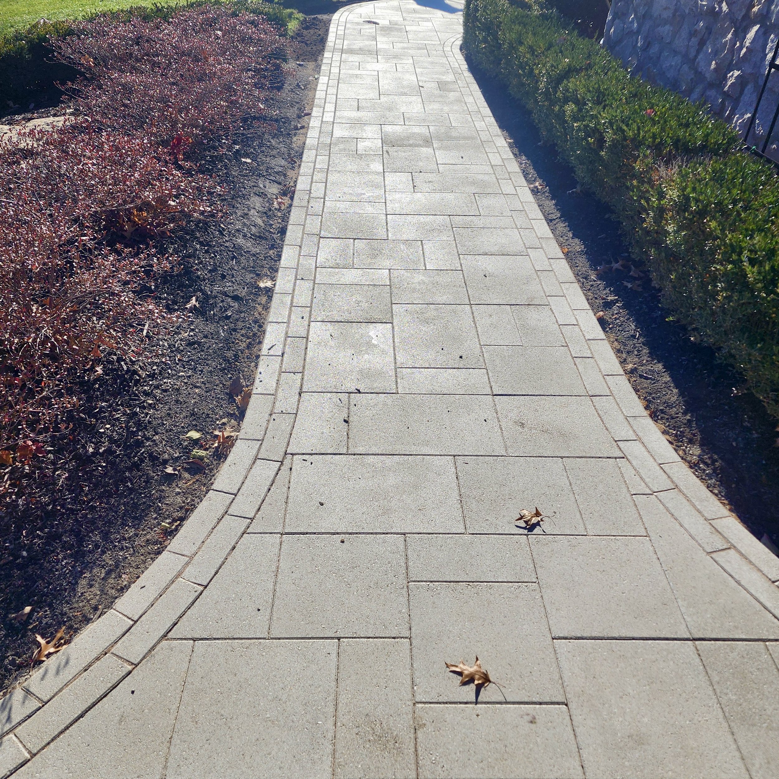 A paved sidewalk with neatly arranged rectangular stones, bordered by bushes on the right and plants on the left, with a few fallen leaves on the path.