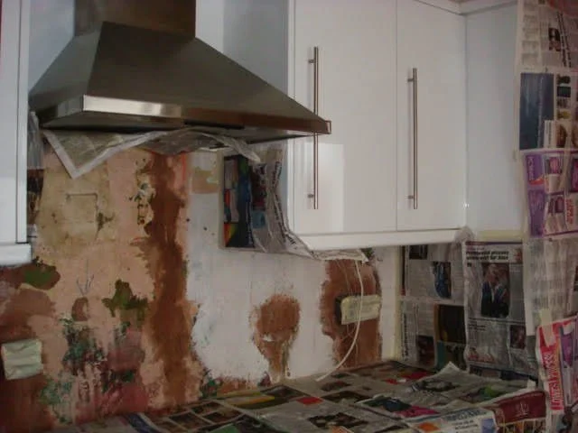 House and Easter 2009 315.jpg