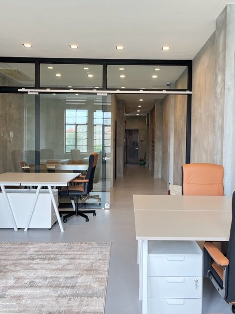 finished From Window looking down hallway.jpg