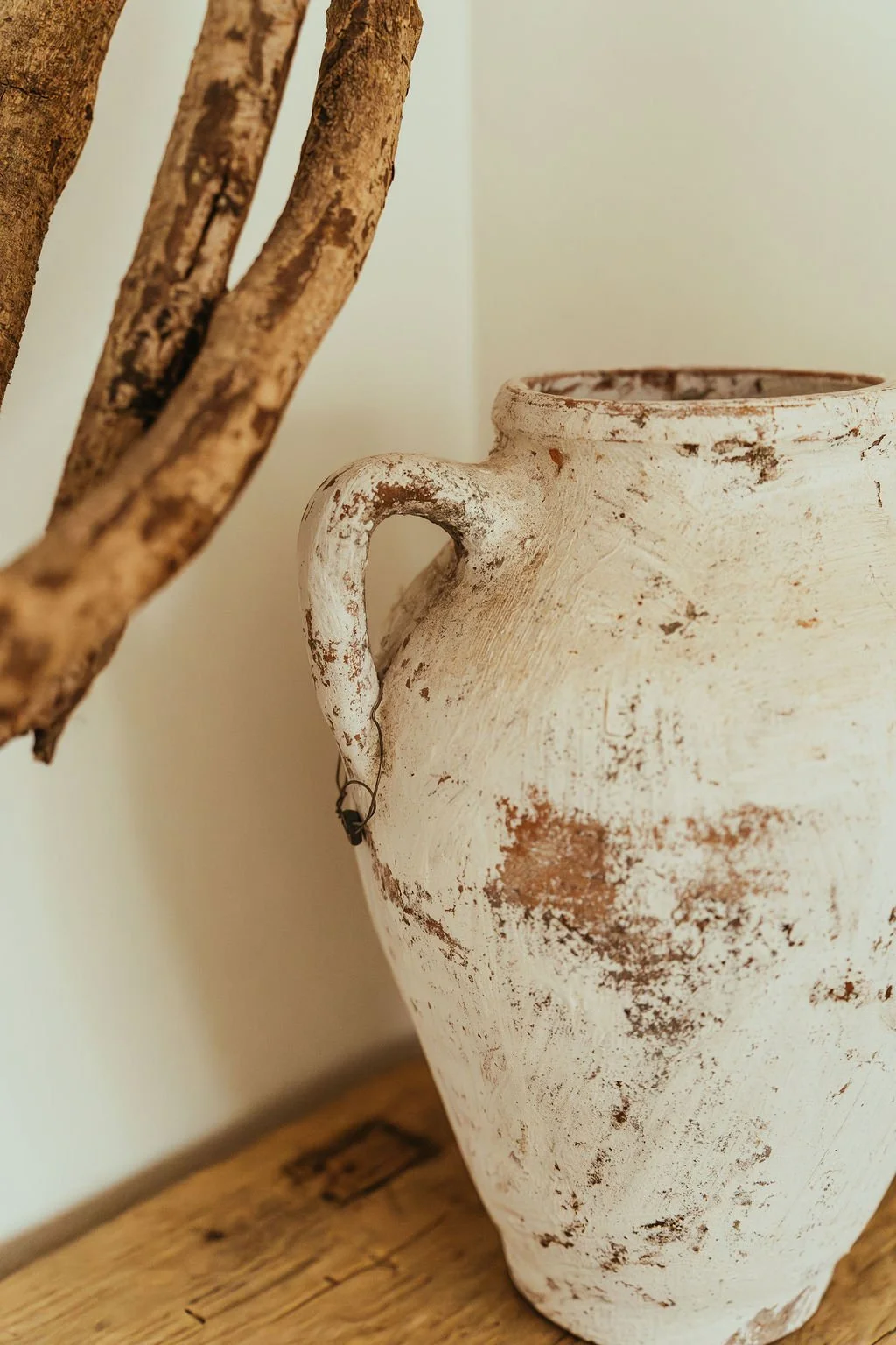 Vase pot close up TEXTURE.jpg
