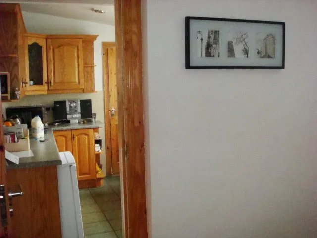 Camera 545.jpg