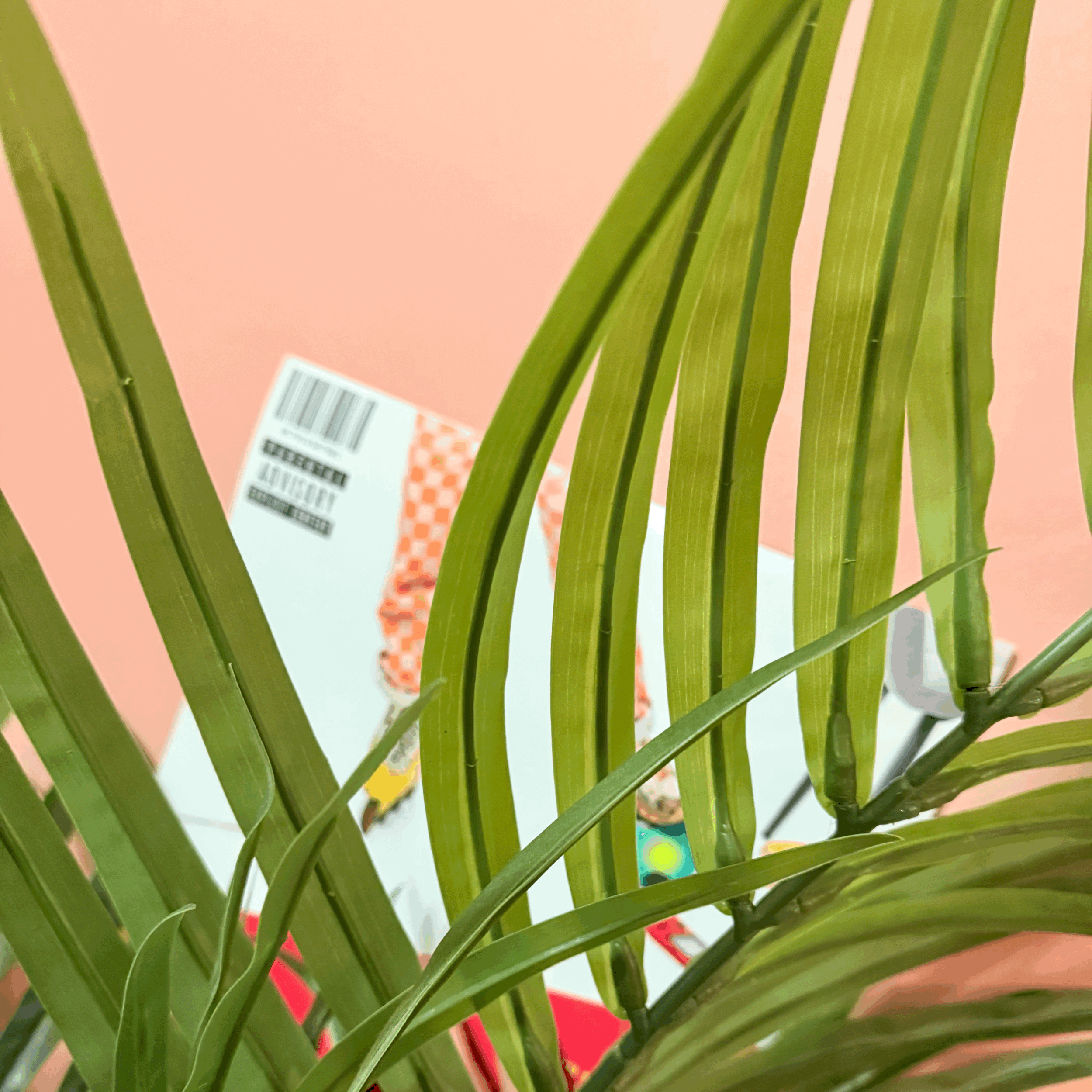 tempImageQ0K4za.gif