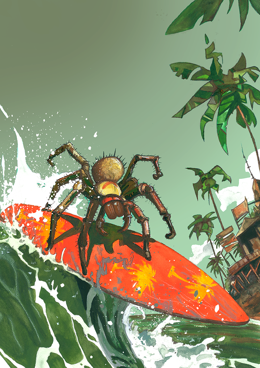 Surf.png
