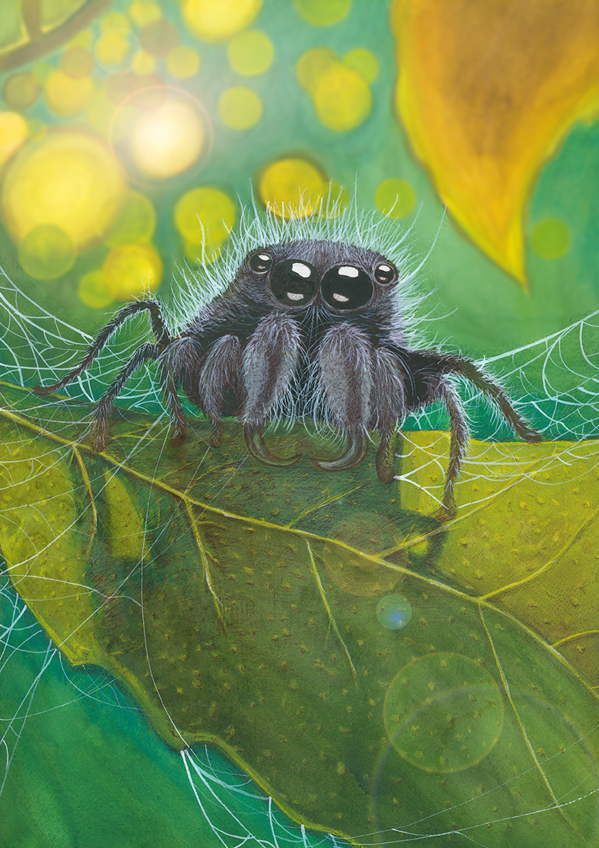 SpiderLeaf.png