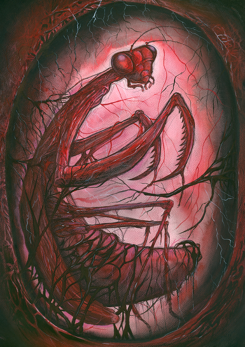 womb.png