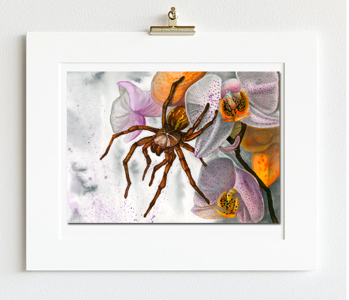 flowersspidersmall.png