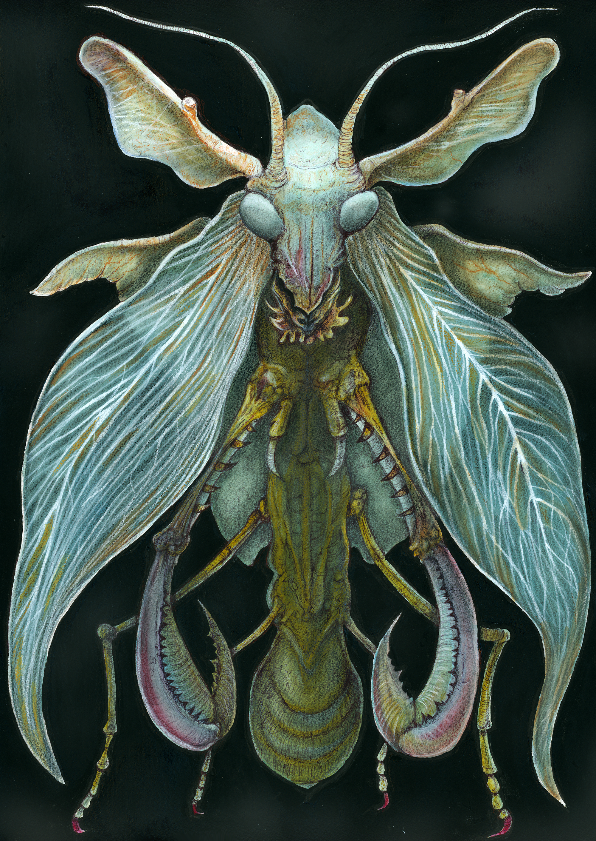 My kind of fairy