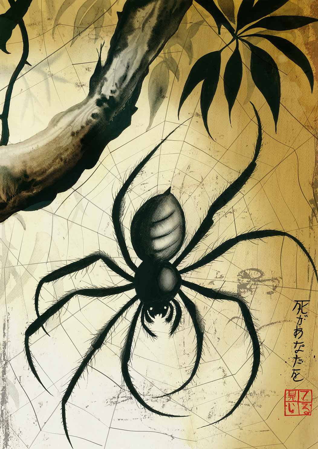zenspider.png