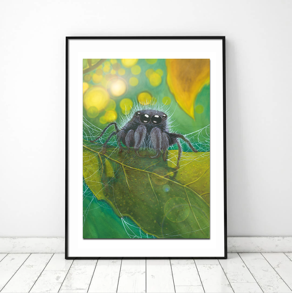 SpiderLeaffloor.png