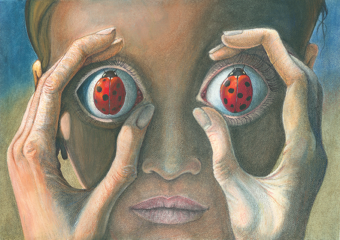 Seeing is Believing