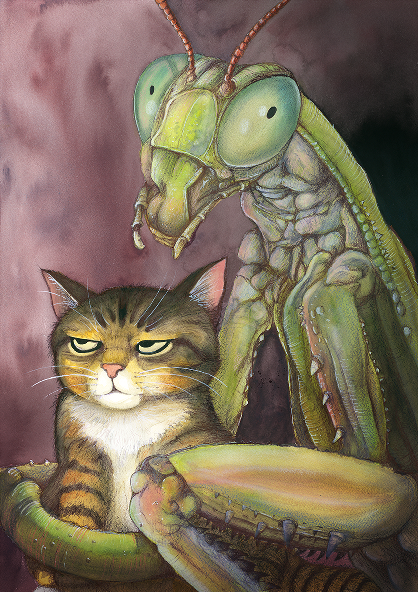 catmantis.png