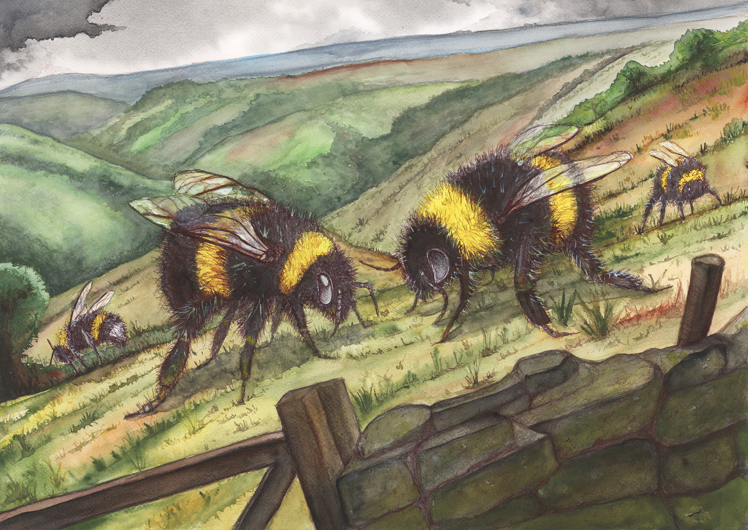The Bees district