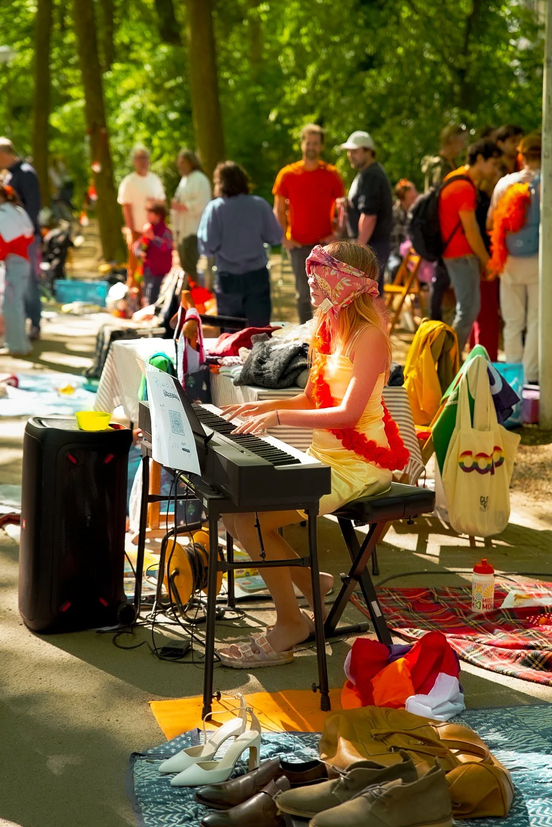 Koningsdag Vondelpark