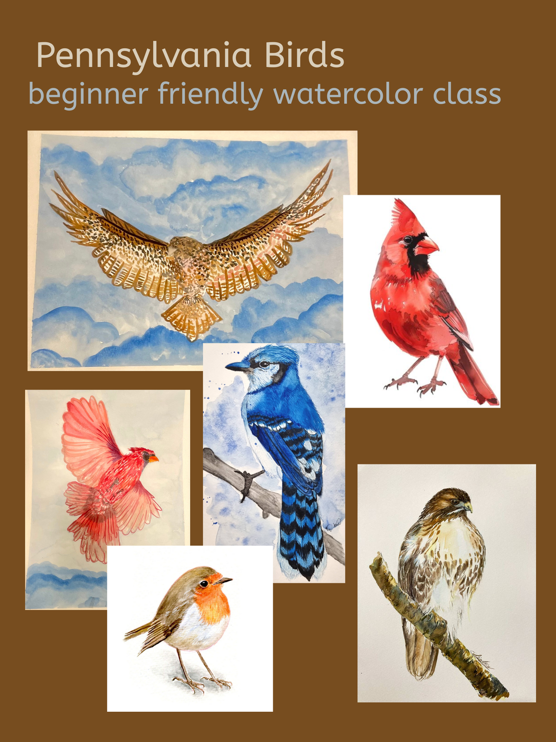 Pennsylvania Birds