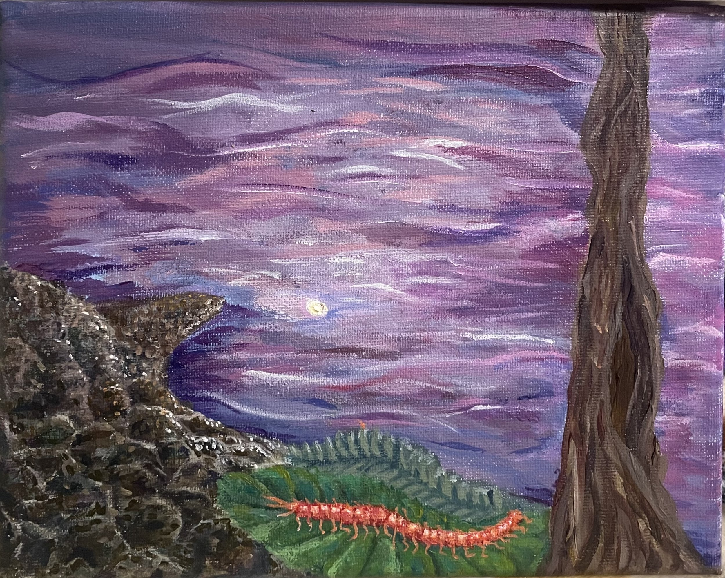 Centipede Sunrise