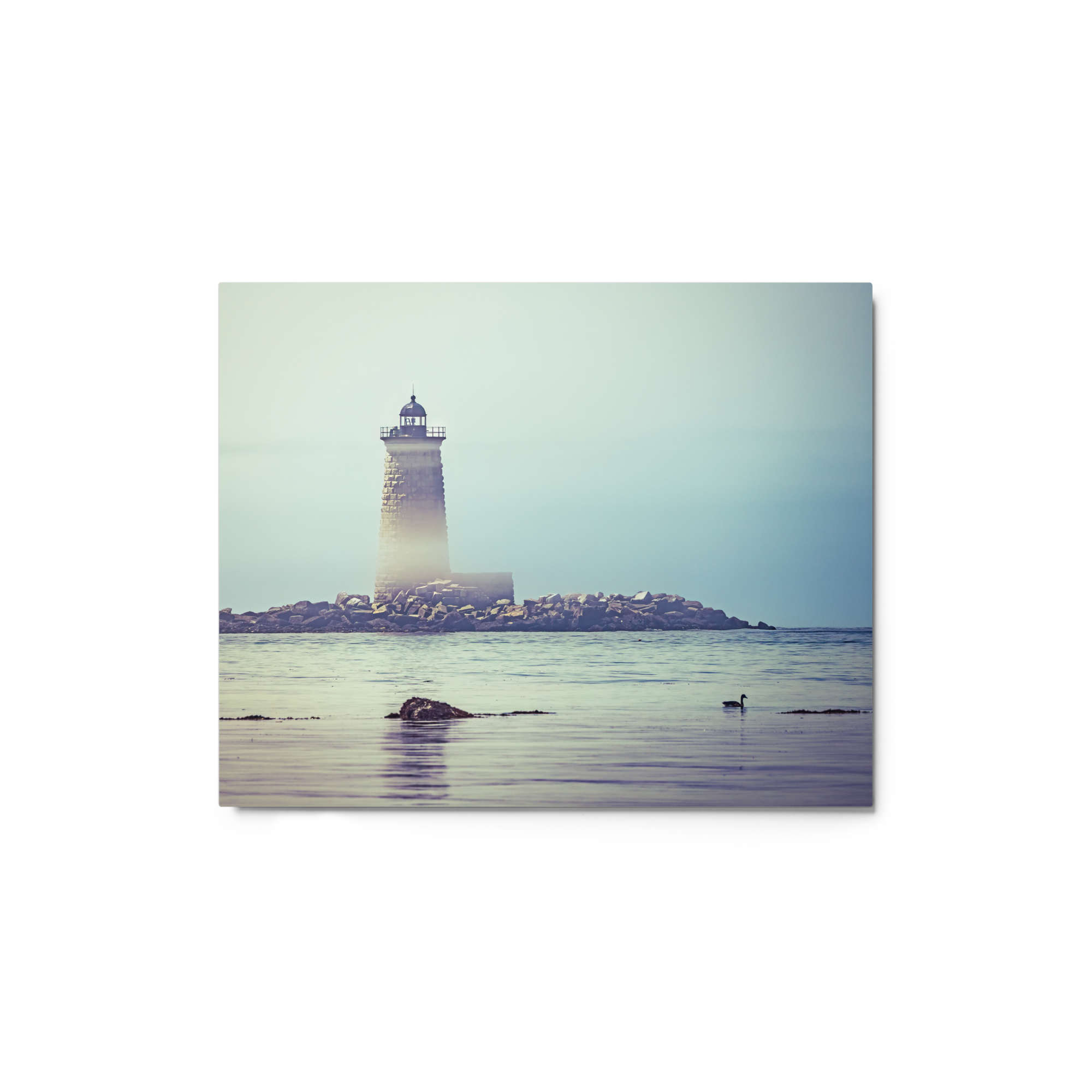 glossy-metal-print-(in)-white-8x10-front-687e77b90cff3.png