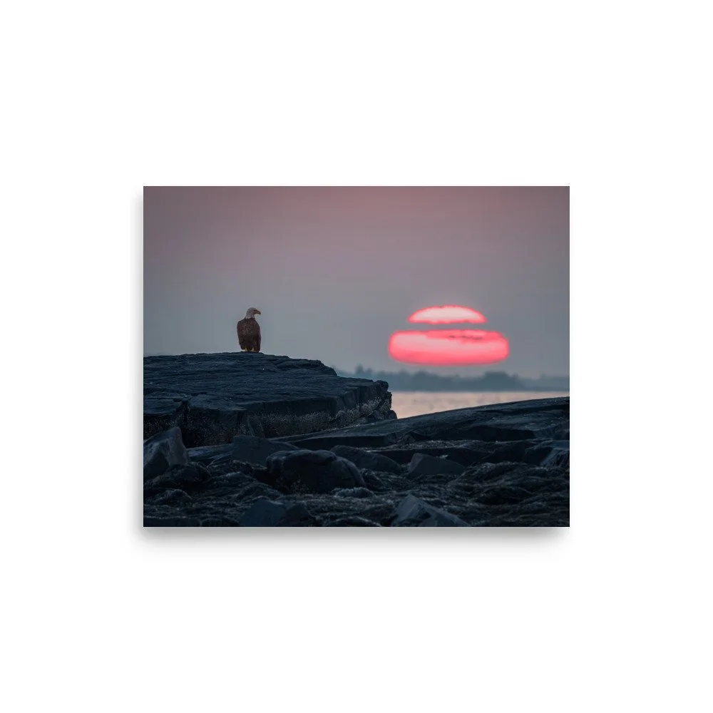 premium-luster-photo-paper-poster-(in)-8x10-front-687e865903b9a.jpg