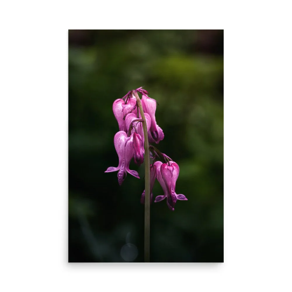 premium-luster-photo-paper-poster-(in)-24x36-front-688ba6e98289d.jpg