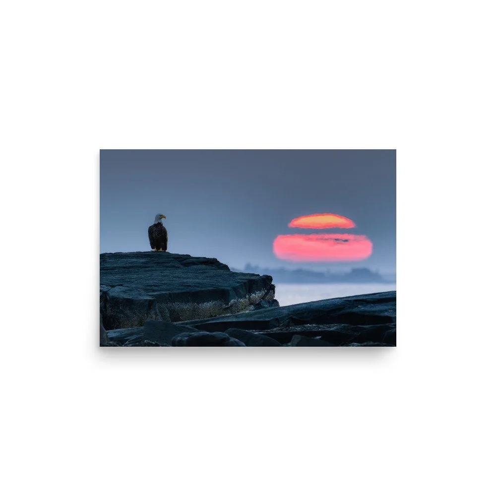 "Eagle at Dawn's Edge" Premium Luster Print