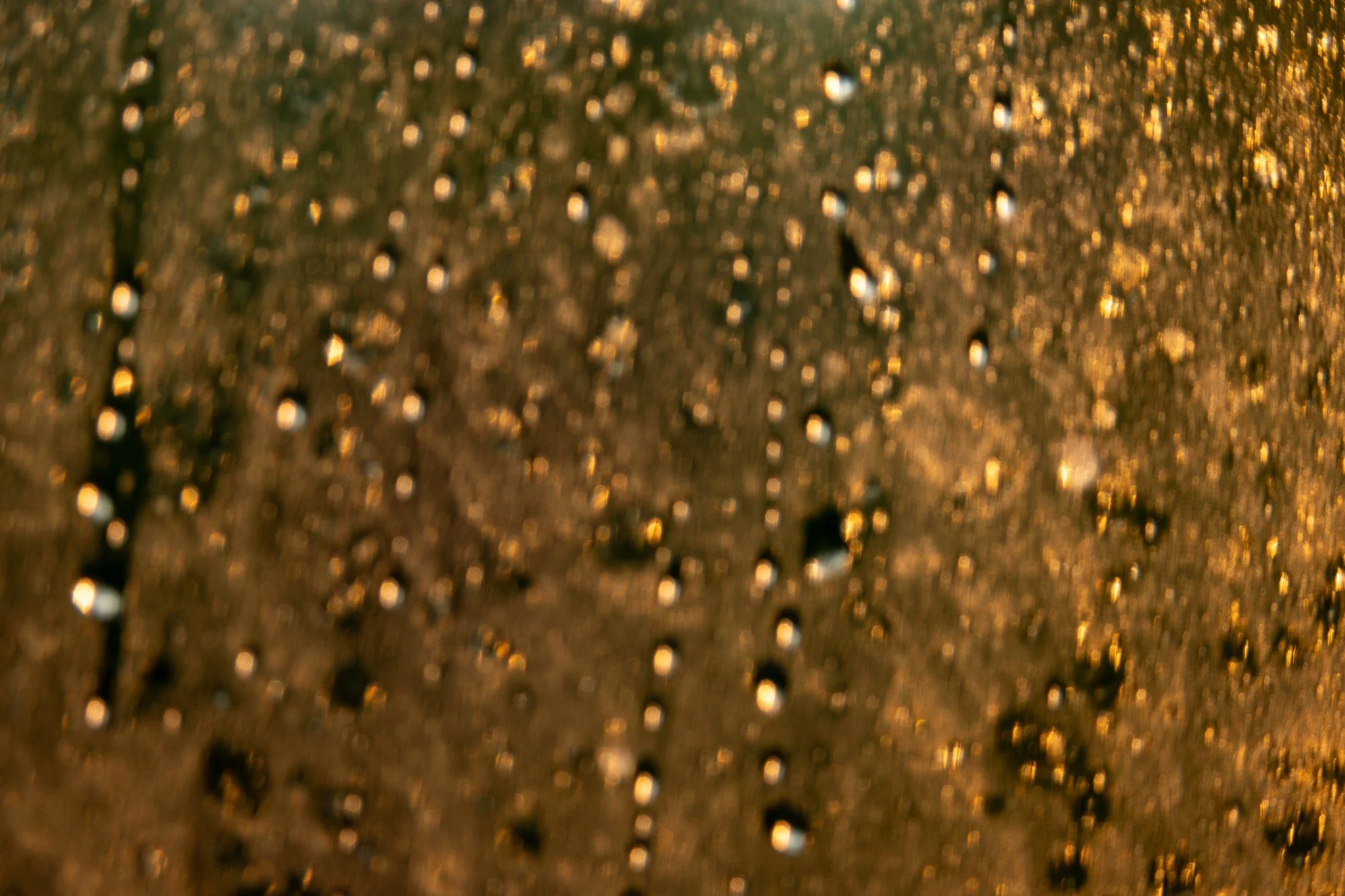 DSC_4340.jpg