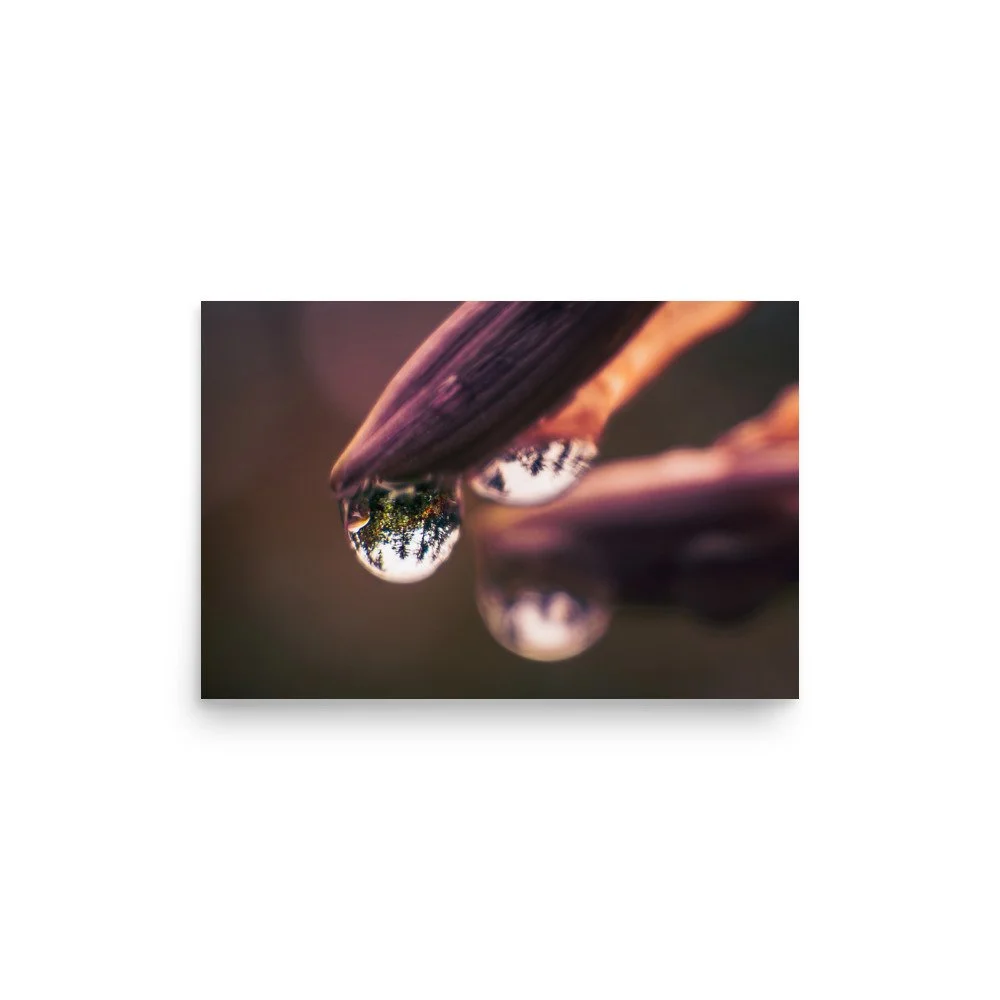 Where Light Begins | Enhanced Matte Print