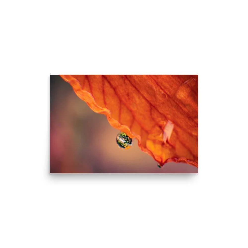 Hidden Worlds | Enhanced Matte Print