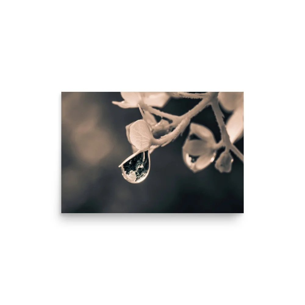Memory of Light | Enhanced Matte Print